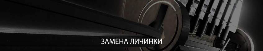 Замена личинки
